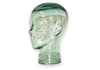 GTH1: Glass Head for Training Clear glass head showing eyes, ears, nose, mouth, and other features in real human size