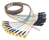 WBS Series: Gold-plated or Tin EEG Cups on Ribbon Gold EEG Cup Electrodes with Rainbow Ribbon Lead-Wires and Touch Proof Safety Sockets