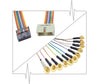 WBS-149 Series: Quick-Connect Cups on Ribbon Cable Gold plated EEG cup electrodes with rainbow quick connect lead-wire strand