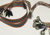 Tin EEG cup electrodes with rainbow quick connect lead-wire strand and touch proof safety sockets