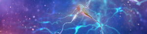 EMG Surface Electrodes