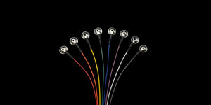 EEG Cup Electrodes