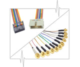 Gold plated EEG cup electrodes with rainbow quick connect lead-wire strand